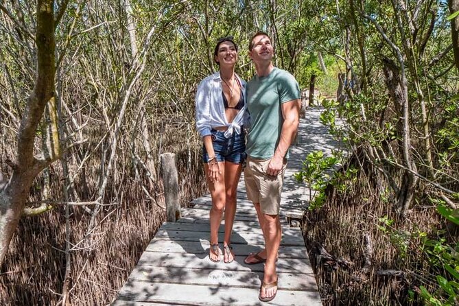 Full-Day Isla Contoy Sailing Nature Experience in Mujeres - Nature and Wildlife