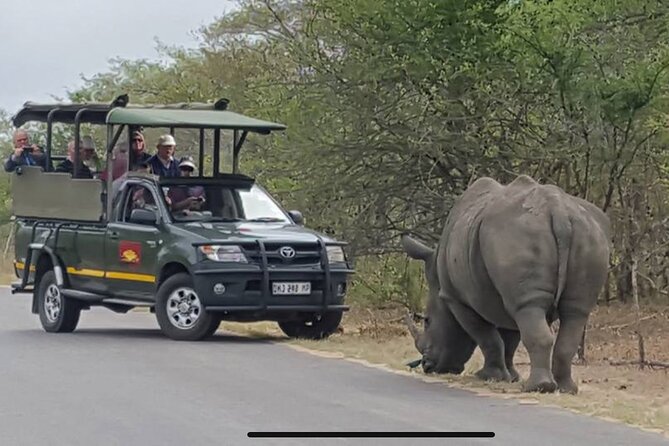 Full Day Kruger National Park Game Drive - Reviews and Testimonials