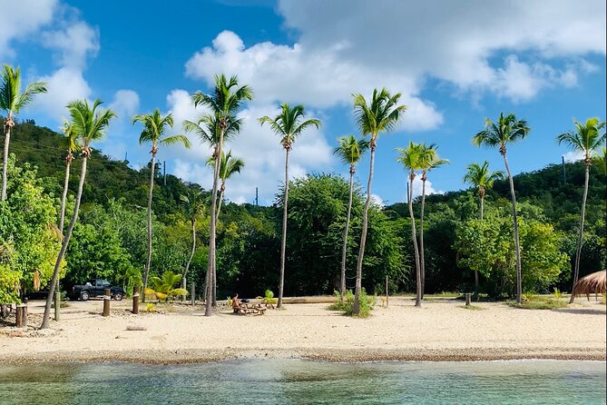 Full Day Luxury Catamaran Turtle Snorkel and Beach Getaway - Onboard Amenities