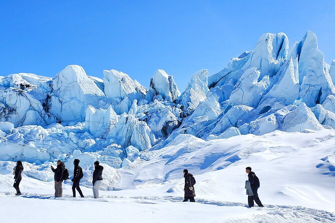 Full-Day Matanuska Glacier Small-Group Excursion - Guest Experiences