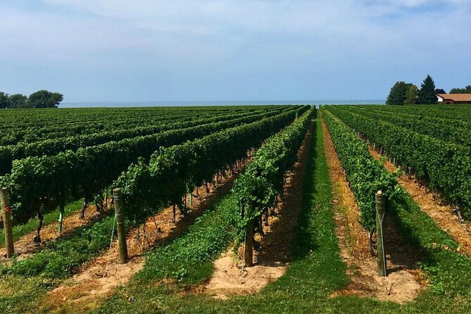 Full-Day Niagara-On-The-Lake Guided Wine and Charcuterie Tour - Tour Guide Experience