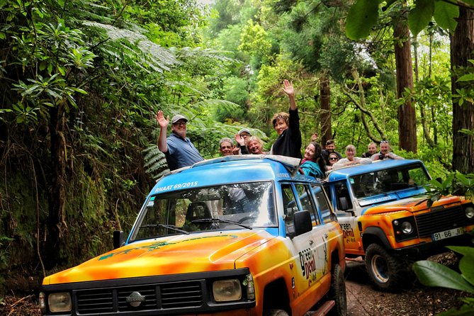 Full Day Private 4x4 Tour in West Madeira With Local Guide - Traveler Testimonials