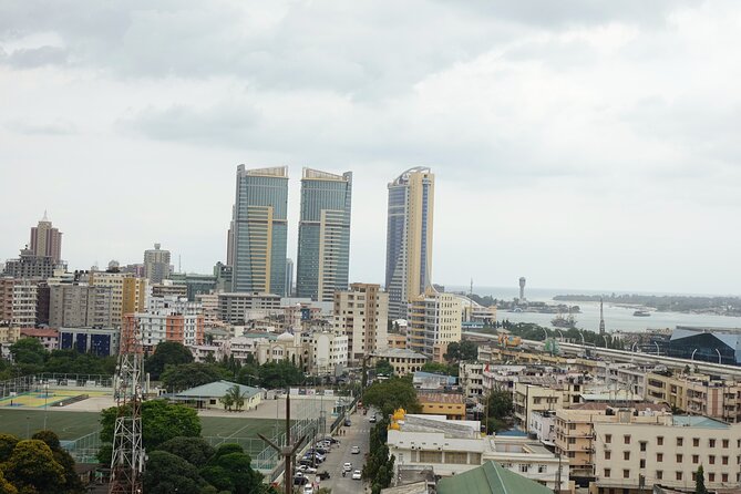 Full-Day Private Tour of Dar Es Salaam - Booking Process and Options