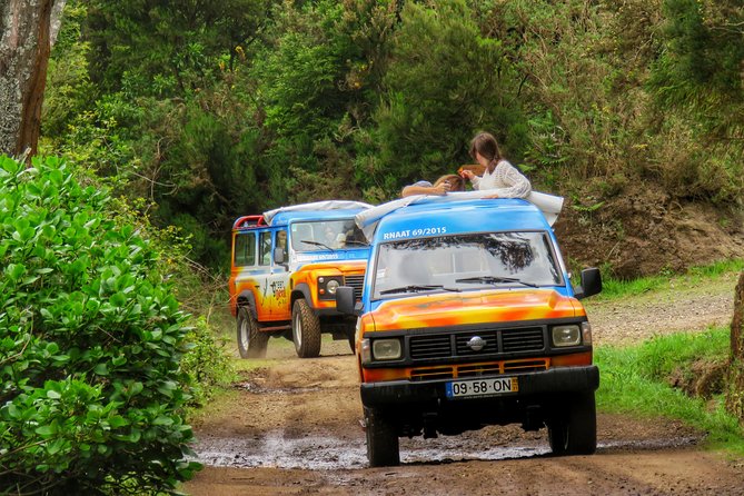 Full Day Santana Wonders and Northeast 4WD Experience - Pricing and Guarantees