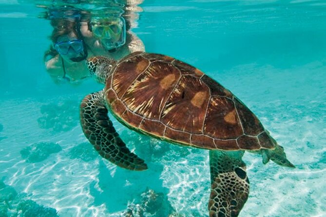 Full Day Shared Catamaran Cruise at Saint Maarten - Alcohol Consumption