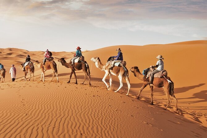 Full-Day Small-Group Red Desert Safari With BBQ Dinner in Dubai - What to Expect on the Day