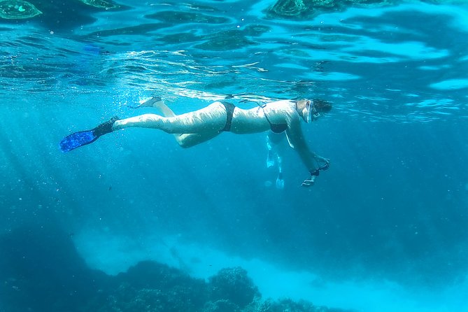Full-Day Snorkeling With Dolphins in Hurghada With Lunch - Onboard Facilities and Amenities