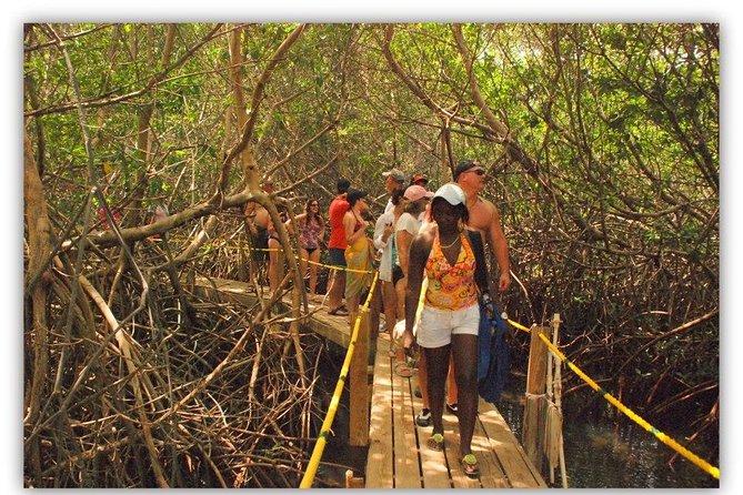 Full Day SoCoHo - Historic Sites - Mangrove Kayak & Reef Snorkeling - About the Destination