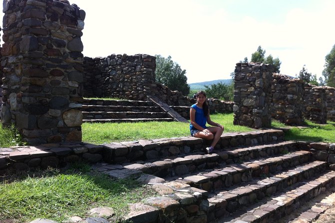 Full-Day Tequila, Jalisco From Puerto Vallarta With Tequila Experience - Tequila Production Process