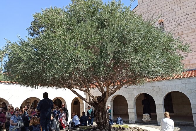 Full Day Tour to Nazareth and the Sea of Galilee - Explore Nazareth and Galilee