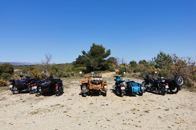 Full Day: Wine Tour of the Cassis Vineyards - Tasting the Local Varietals