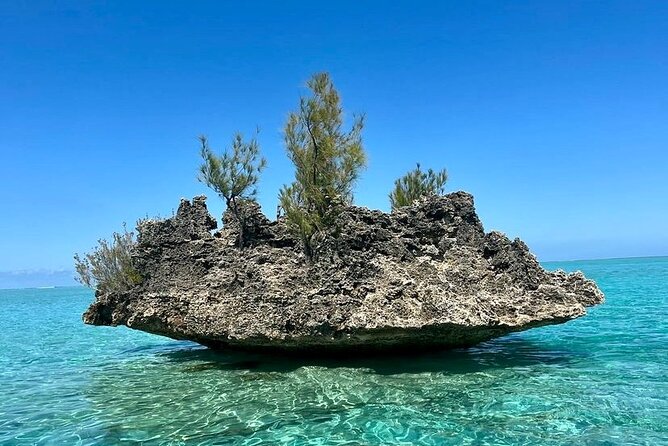 Fully Day Tour: Dolphin Encounters, Crystal Rock at Benitiers Island - Booking Information
