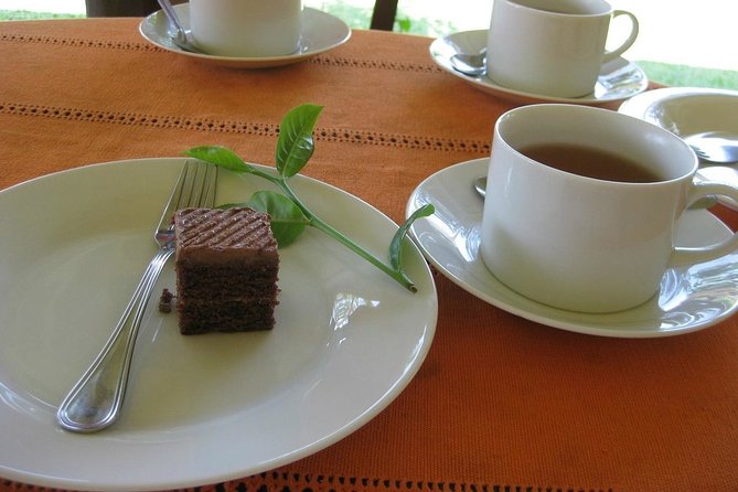 Galle Fort And Tea Factory Visit - Visitor Reviews and Experiences