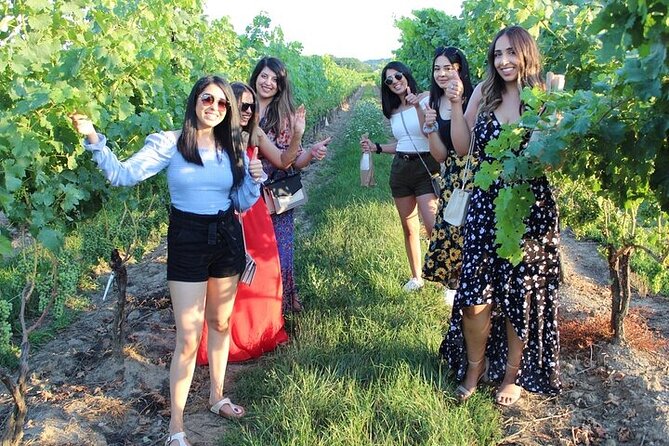 Get Away From the Crowds - Wine & Charcuterie Tour - Winemaking Techniques