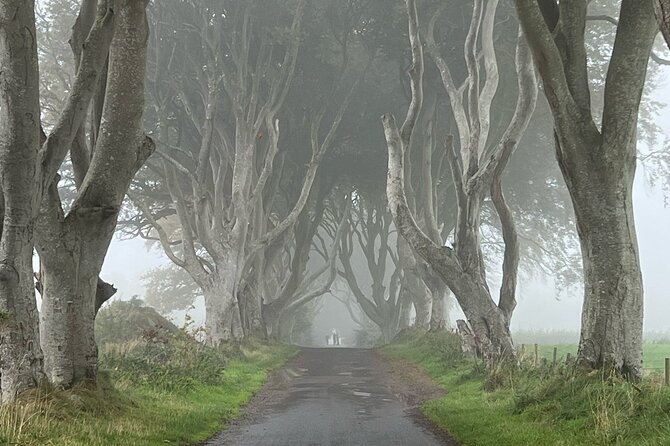 Giants Causeway Tour From Belfast in Luxury 7 Seater - Scenic Stops Along the Way