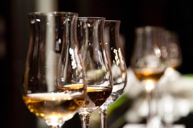 Gin & Rum Tasting in Frankfurt Am Main - Safety Guidelines