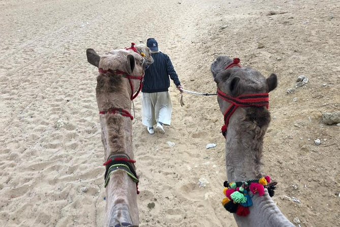 Giza Pyramids Sphinx Camel Ride Lunch With Camera Photographer - Camel Ride Experience