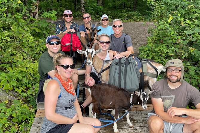 Goat Hiking, Beaver Dam Visit and Picnic in Quebec Forest - Duration and Start/End Times