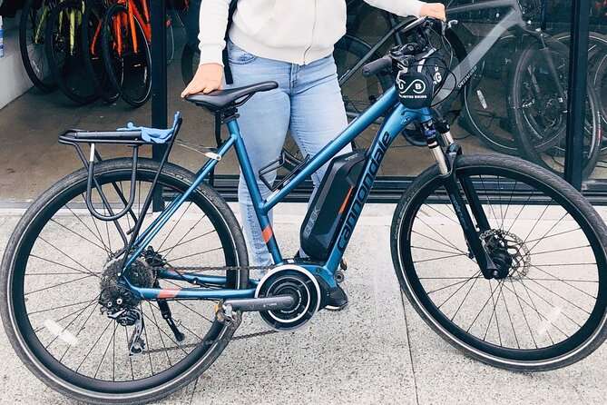 Golden Gate Park Bike Rentals - Nearby Attractions and Activities