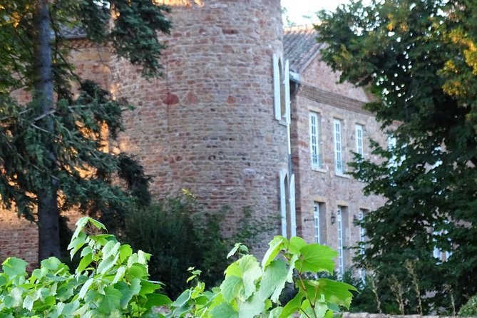 Gourmet Walk in the Gardens of Château Champ-Renard - Picnic in the Gardens