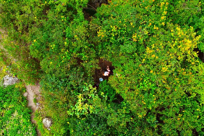 Gran Canaria PRIVATE VIP TOUR With 4K Holiday Video - Additional Information
