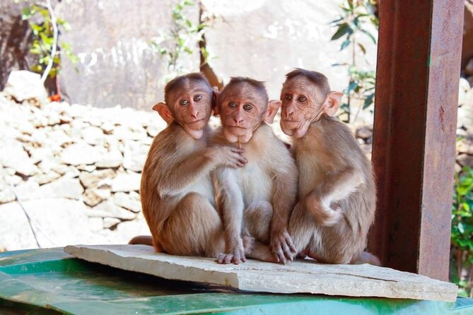 Granby Zoo 1 Day - Visitor Tips