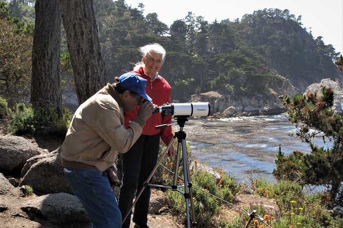 Guided 2-Hour Point Lobos Nature Walk - What to Expect on the Walk