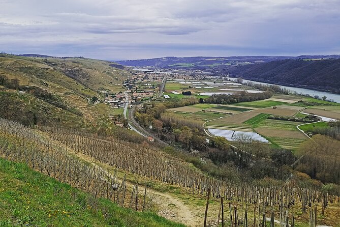 Guided Day Tour and Wine Tasting Northern Rhône Valley - Culinary Delights
