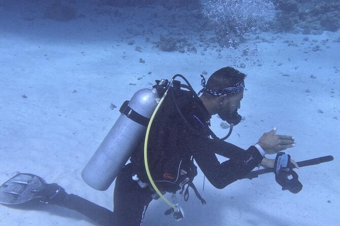 Guided Diving Experience for Padi OW in Red Sea and Sinai - Exploring the Red Sea