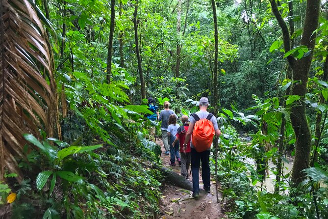 Guided Hiking Tour by the Mystic Ebano Rainforest in Costa Rica - Meeting Point and Pickup Details