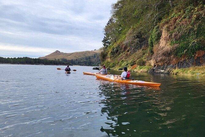 Guided Kayak Tours on the Salmon River Estuary in Otis, Oregon - Safety Considerations for Participants