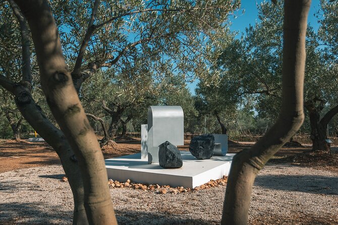 Guided Tour Museum of Contemporary Art and Sculpture Park - Ratings and Reviews