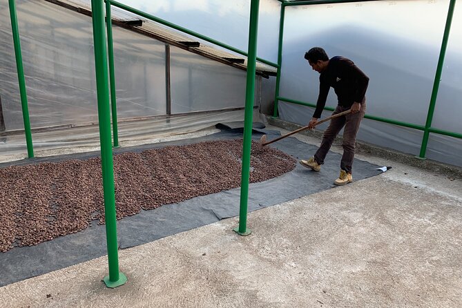 Guided Tour of the Artisan Chocolate Factory in Tuscany - Traveler Reviews and Feedback
