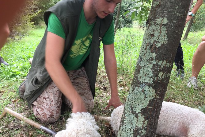Guided Truffle Hunt Istria - Weather and Challenges