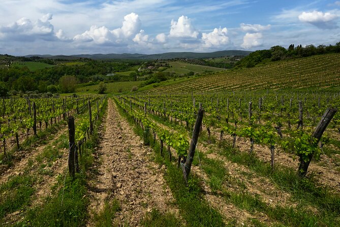 Guided Winery Tour and Wine Tasting in Siena - Tips for a Great Visit