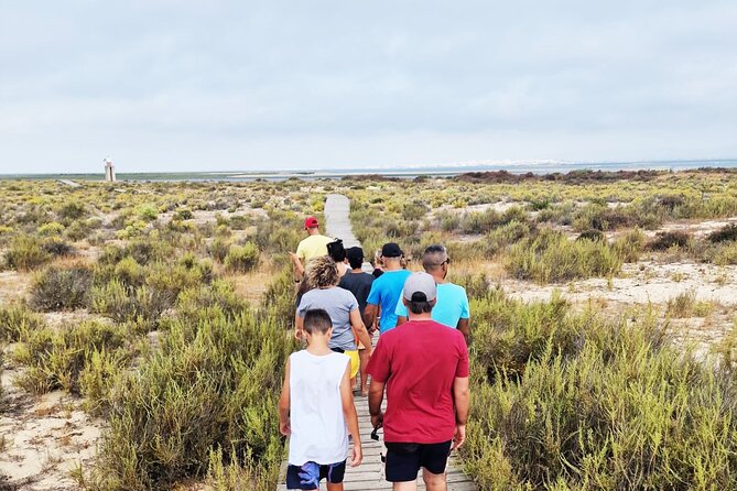 Half-Day Boat Trip to the Ria Formosa Islands - What to Expect on the Boat Trip