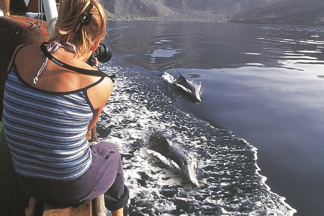 Half Day Dolphin Watching Musandam Dhow Cruise - Pricing and Cancellation Policy