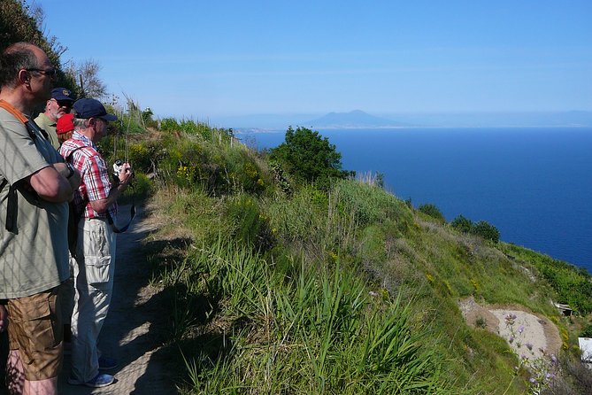 Half-Day East Coast Hike in Ischia Island With Pick-Up - Booking Options and Assistance