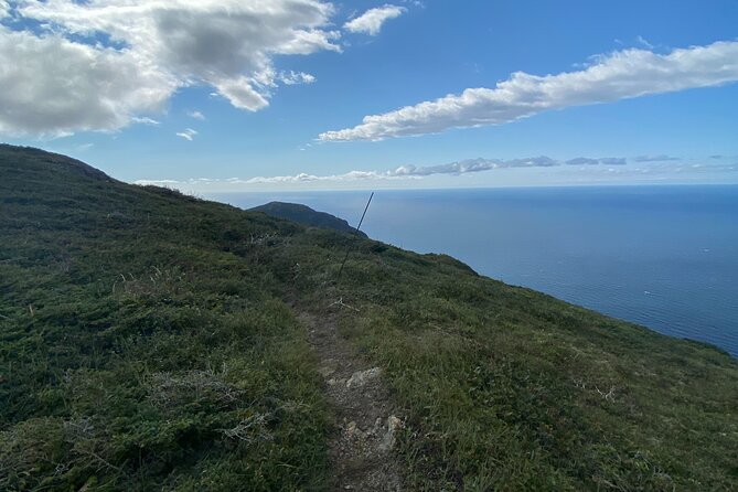 Half Day Hike Blow Me Down Mountain - Booking and Confirmation