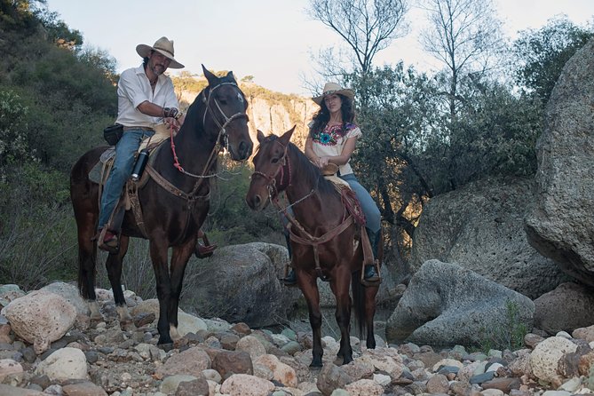 Half-Day Horseback Riding Adventure - Positive Guest Testimonials