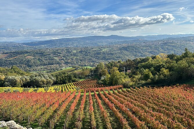 Half-Day Irpinia Wine Tour From SALERNO - Private Transportation and Expert Guide