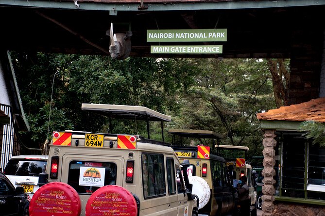 Half Day Nairobi National Park Tour - Guest Reviews and Ratings