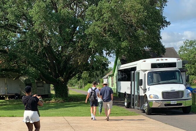 Half-Day Oak Alley Plantation Tour in Vacherie - Additional Considerations