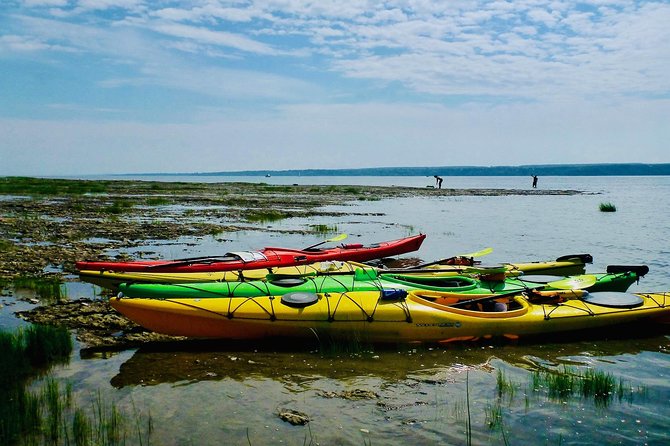 Half-Day Orleans Island Small-Group Sea Kayaking Tour - Cancellation Policy