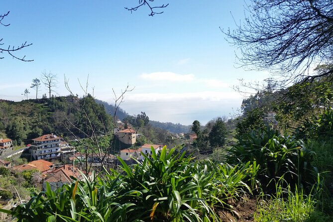 Half-Day Paradise Valley Walking Tour - Cancellation Policy