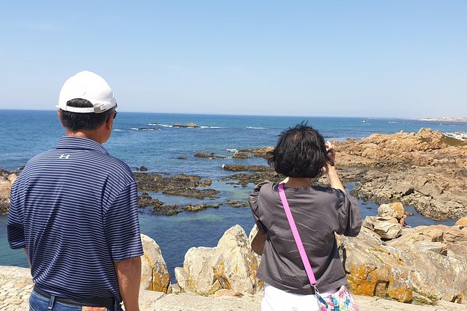 Half Day Porto and Beach Side Small-Group Tour With Tastings - Tasting Pastel De Nata