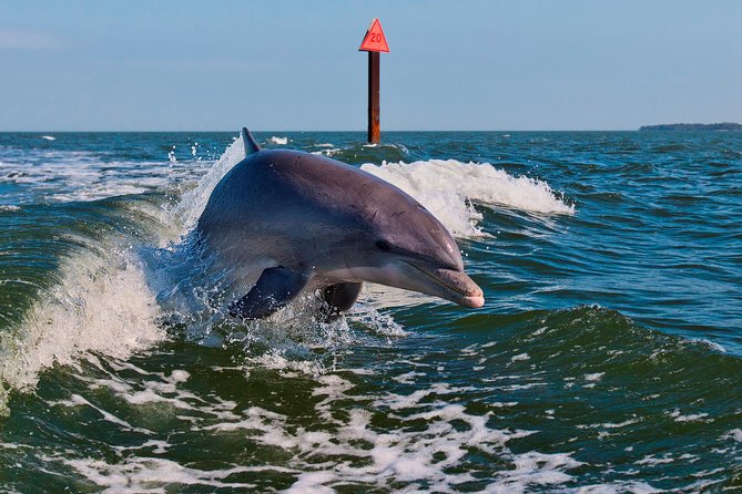 Half-Day Private Boating On Black Hurricane - Indian Rocks Beach - Exploring the Gulf of Mexico