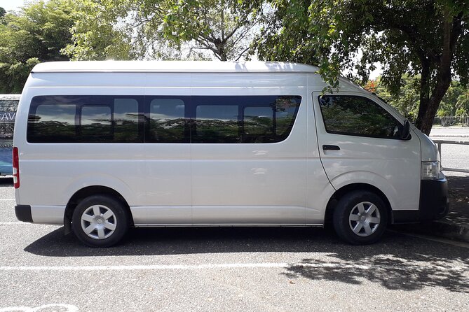 Half-Day Private Guided Ricks Café & Negril Seven Mile Beach Tour - Private Transportation