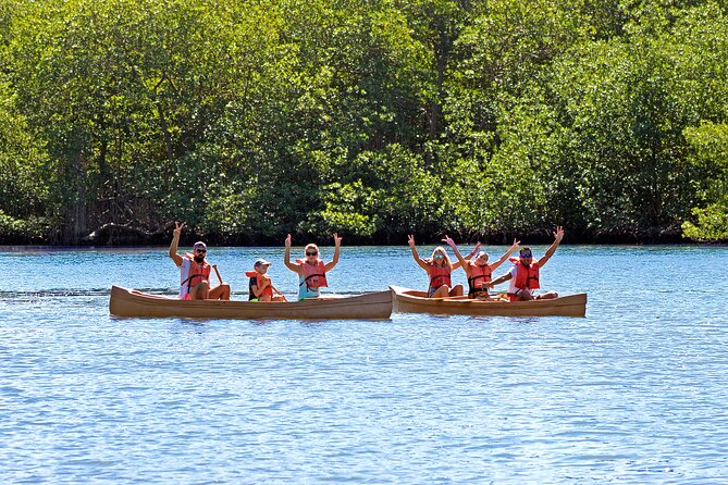 Half-Day Private Los Haitises Caves and Mangroves Canoe Tour - Preparing for the Adventure