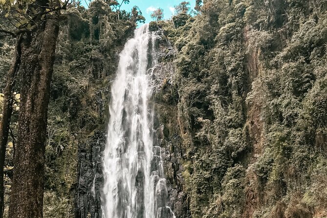 Half-Day Private Tour to Materuni Waterfalls and Coffee Excursion - Traveler Experiences
